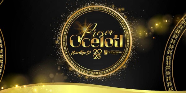 PRESEA 2025