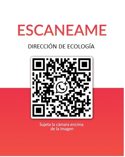 Dirección de Ecología