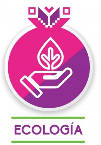 DIRECCIÓN DE ECOLOGÍA